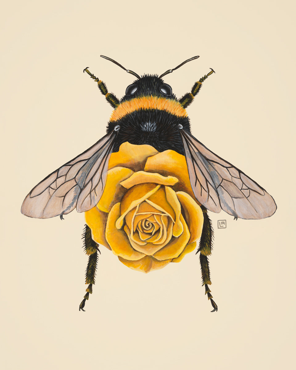 Yellow Rose Bumblebee (art print)