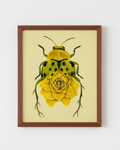Lotus-Spotted Cucumber Beetle (art print)
