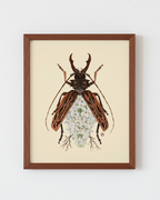 White Lilac + Macrodontia Beetle (art print)
