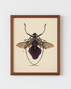 Purple Calla Lily + Longhorn Beetle (art print)