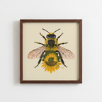 Yellow Sunflower + Honeybee (art print)