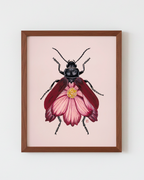 Pink Cosmos + Leaf Beetle (art print)