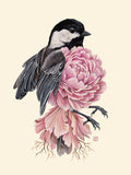 Peony Chickadee (art print)