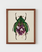 Purple Sweet Pea Flowers + June Bug (art print)