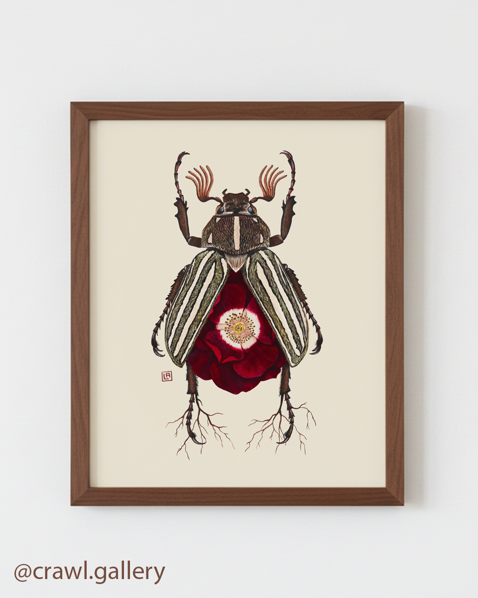 Red Rose + June Bug (art print)