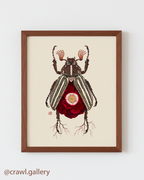 Red Rose + June Bug (art print)