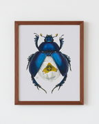 White Poppy + Spring Dor Beetle (art print)