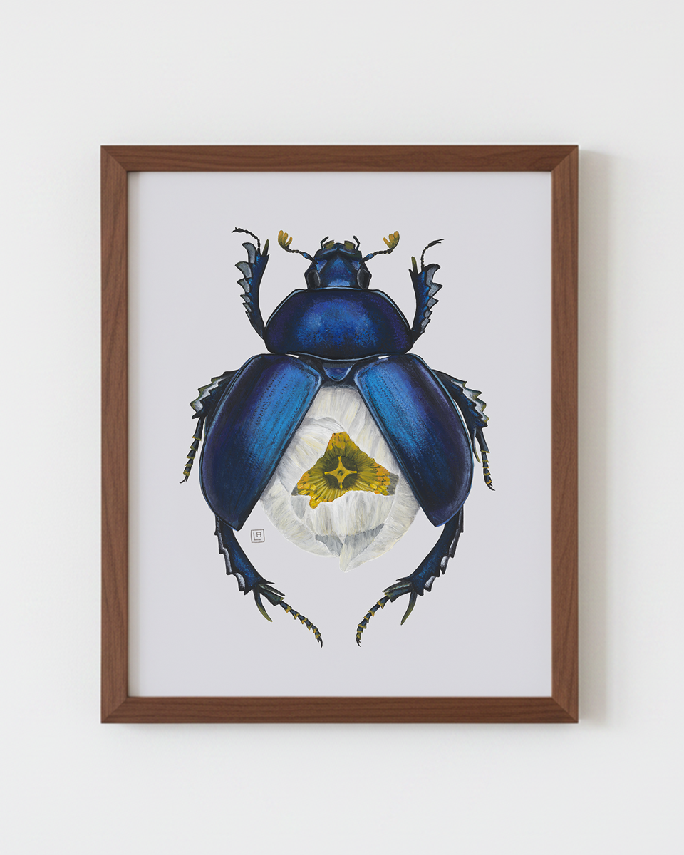 White Poppy-Spring Dor Beetle (art print)