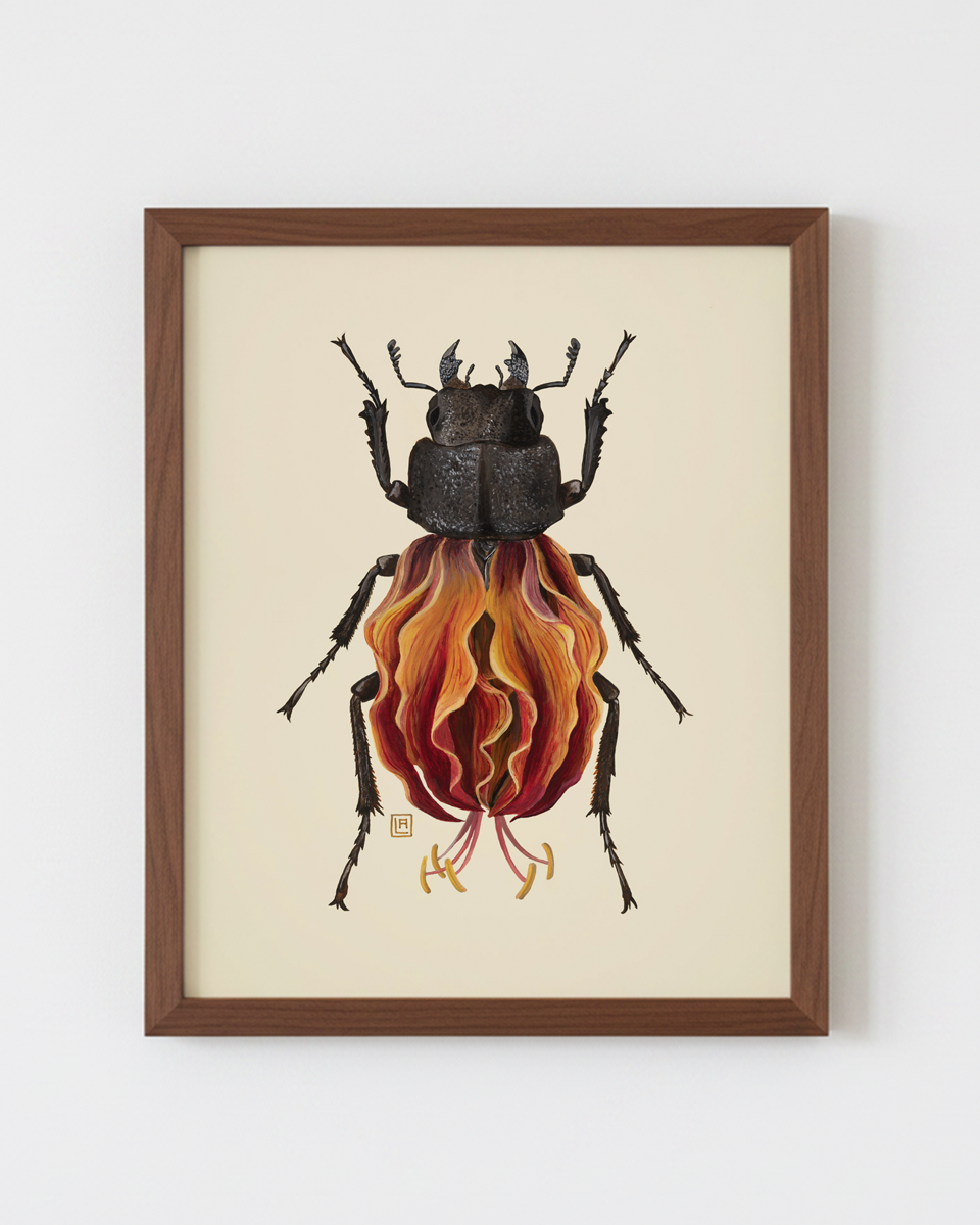 Orange Lily-Stag Beetle (art print)