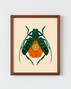 Orange Poppy + Longhorn Beetle (art print)