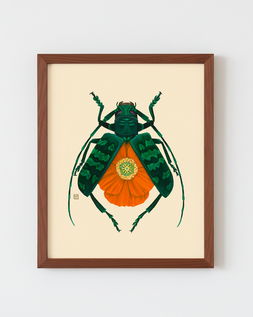 Orange Poppy + Longhorn Beetle (art print)