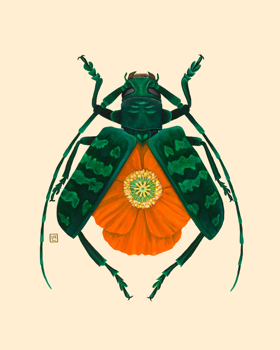 Orange Poppy-Green Longhorn Beetle (art print)