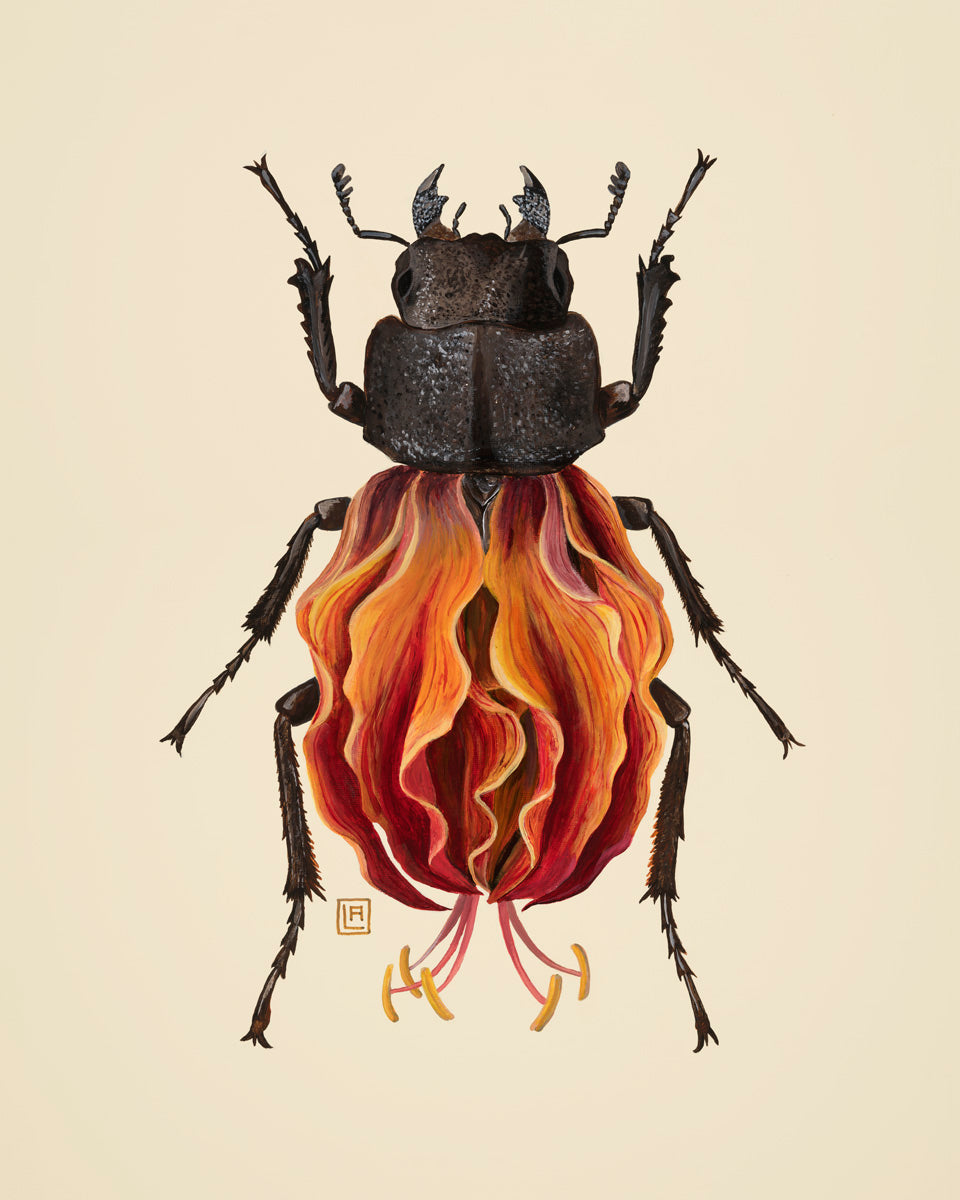 Orange Lily-Stag Beetle (art print)