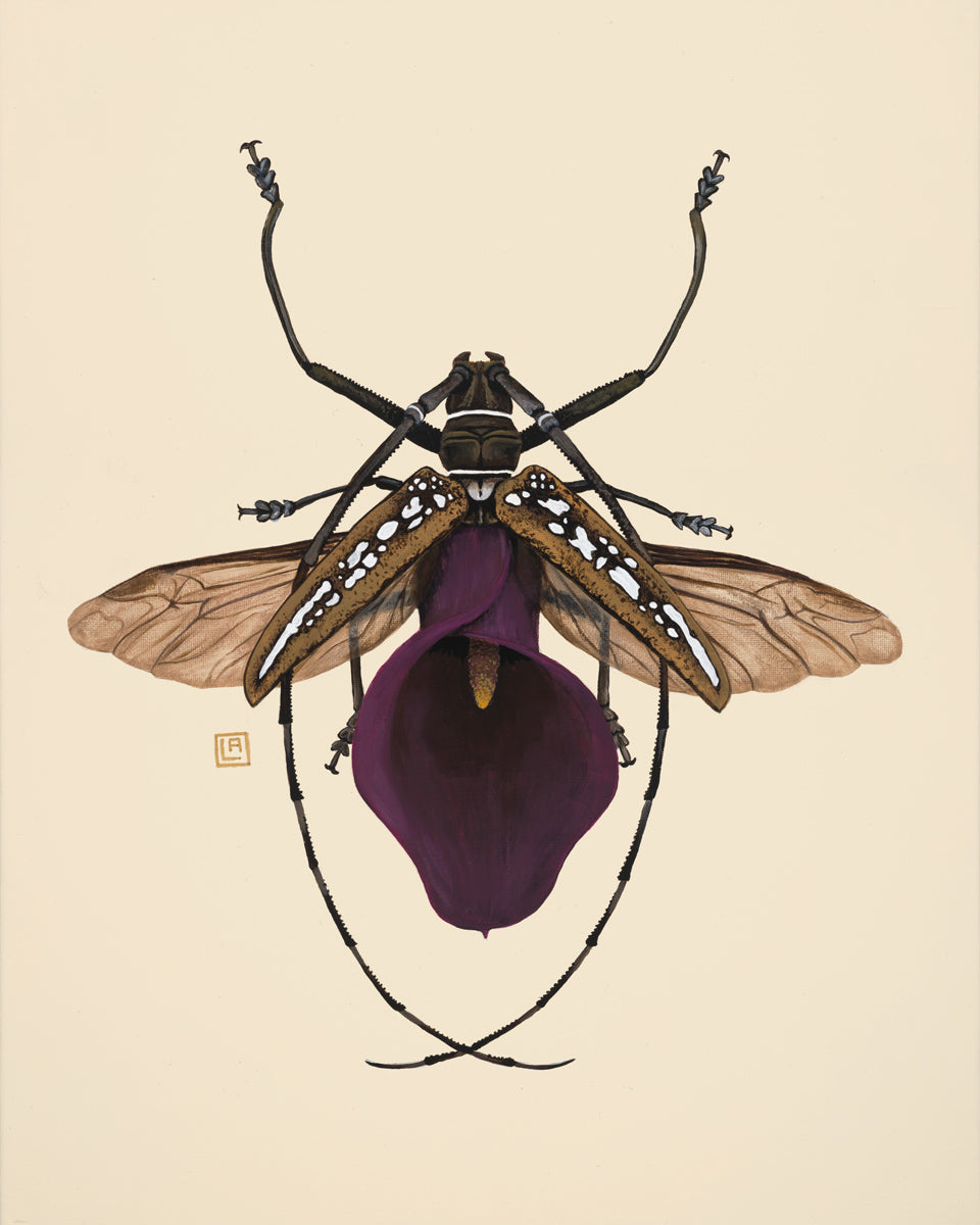 Purple Calla Lily + Longhorn Beetle (art print)