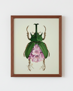 Pink Cherry Blossoms + Rhinoceros Beetle (art print)