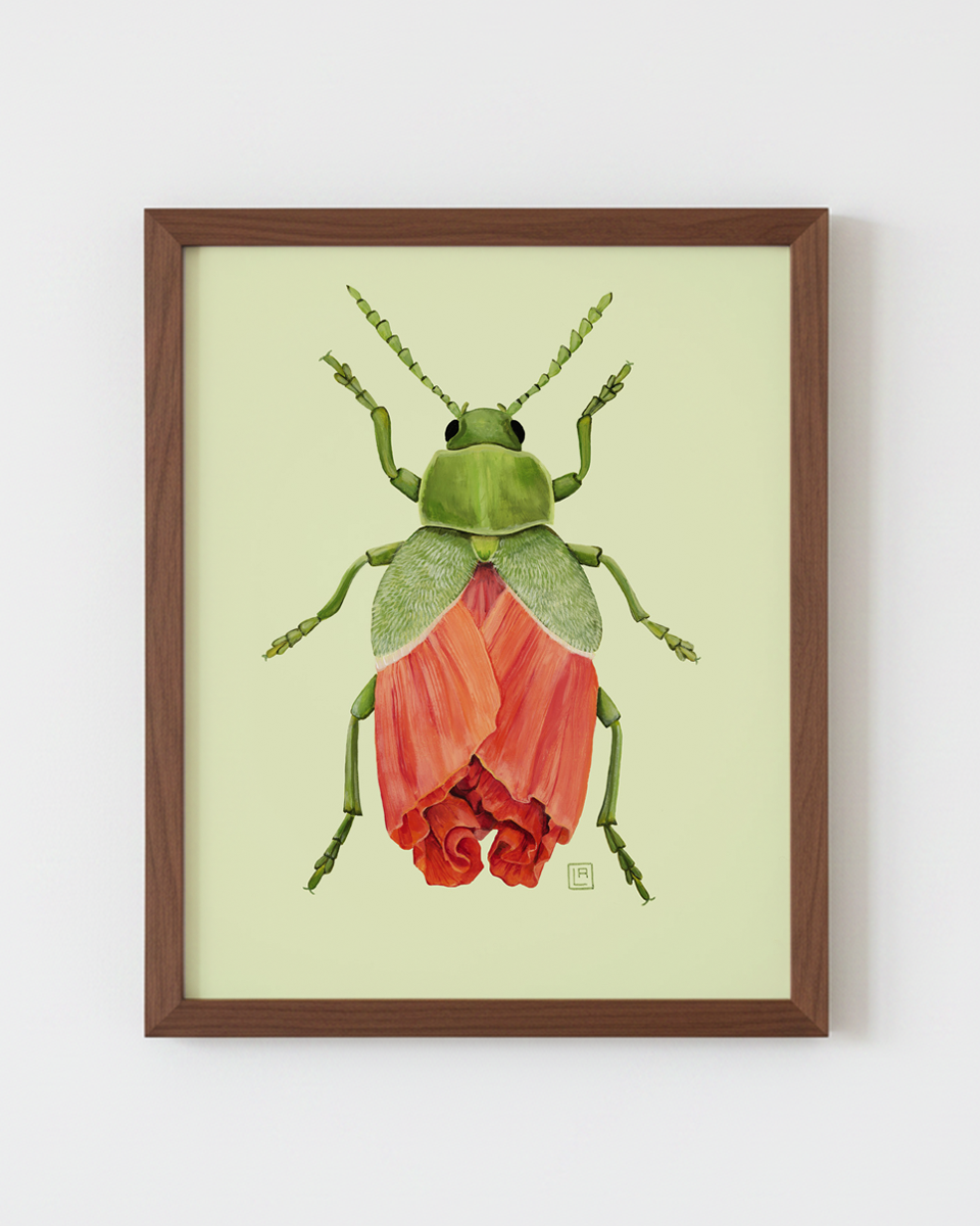 Poppy-Leaf Beetle (art print)