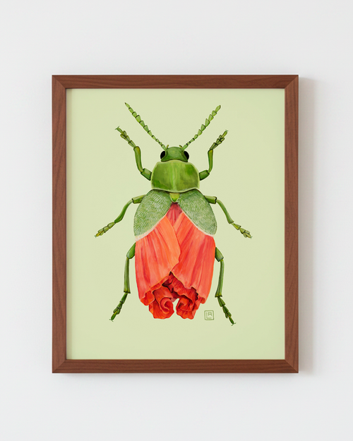 Orange Poppy + Leaf Beetle (art print)