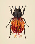 Orange Lily-Stag Beetle (original painting)