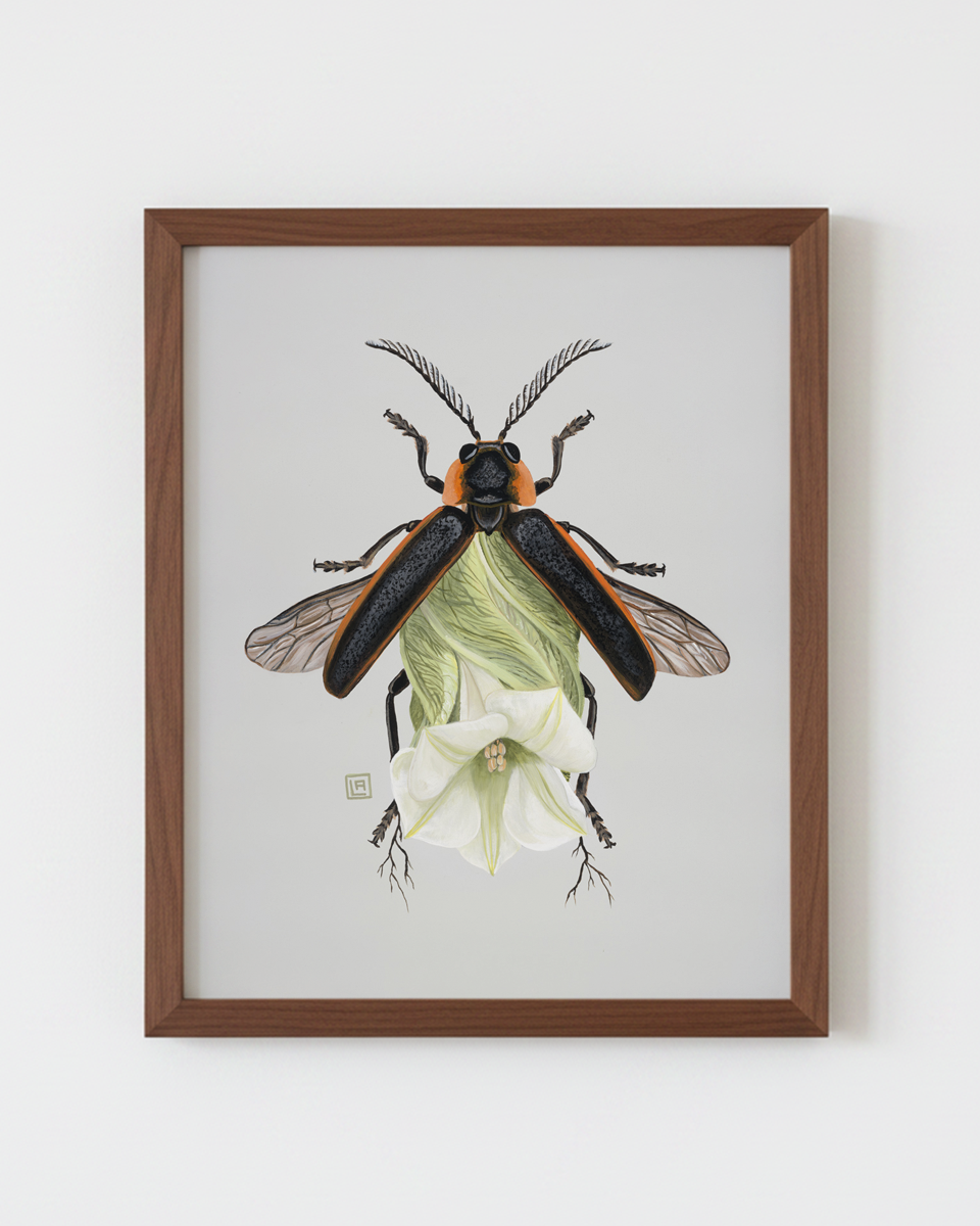 Moon flower-Firefly (art print)