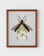 White Moonflower + Firefly (art print)