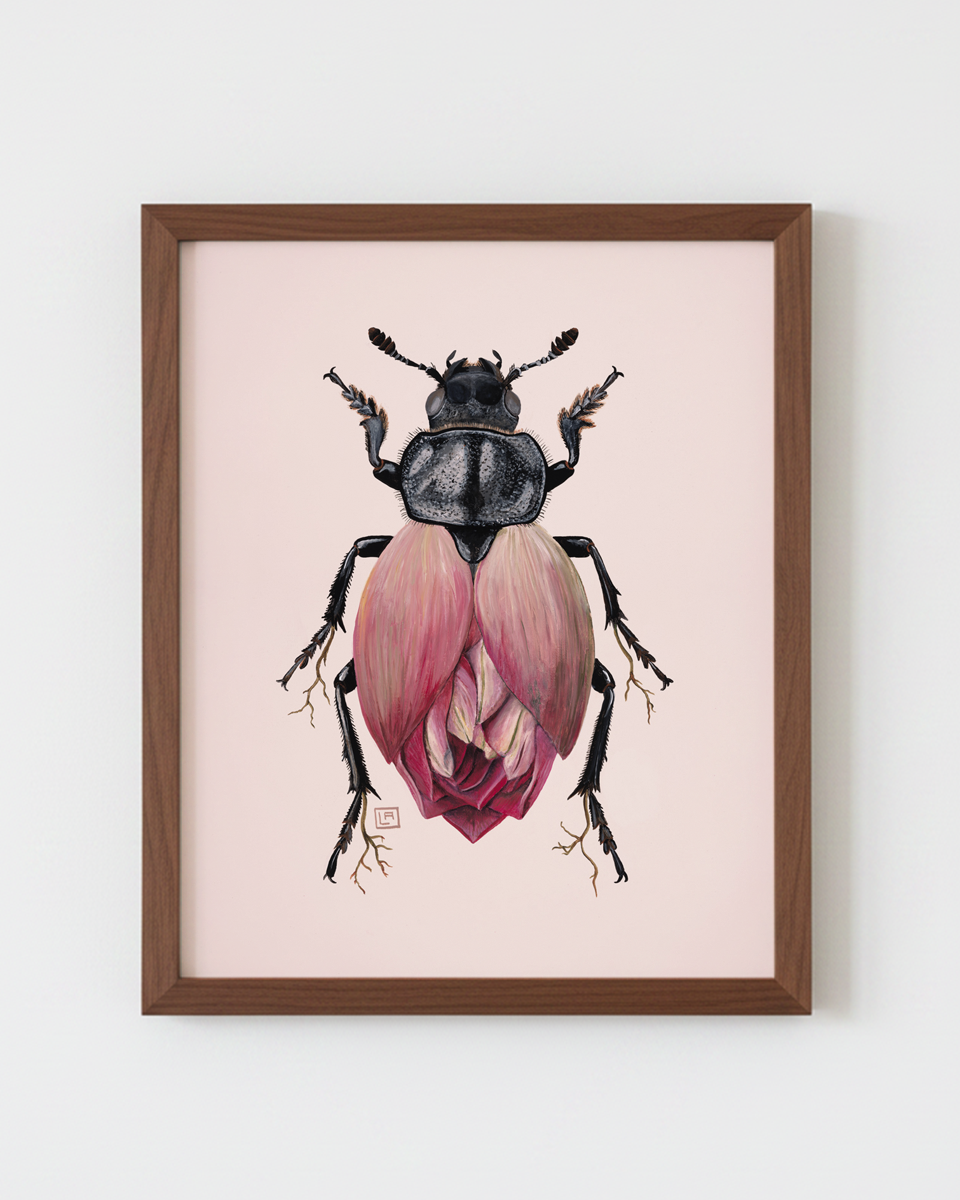 Pink Lotus-Carrion Beetle (art print)