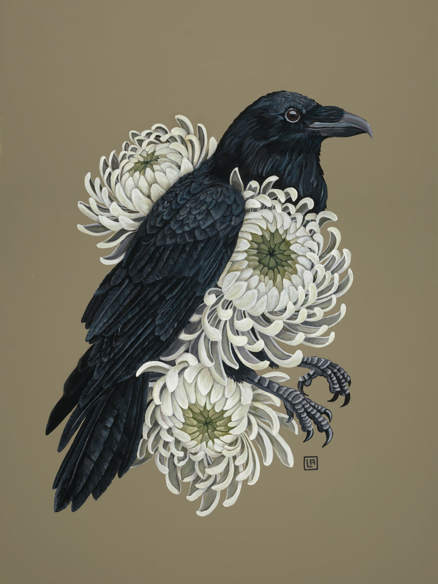 A black raven combined with white chrysanthemum flowers.