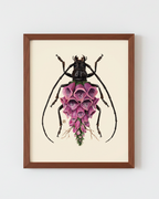 Purple Foxglove + Longhorn Beetle (art print)