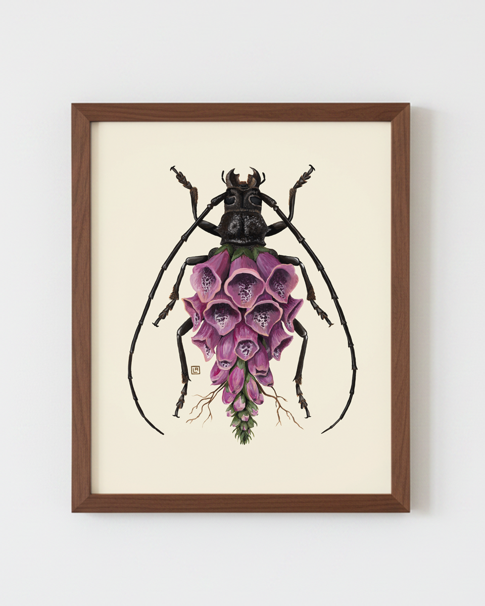 Foxglove-Longhorn Beetle (art print)