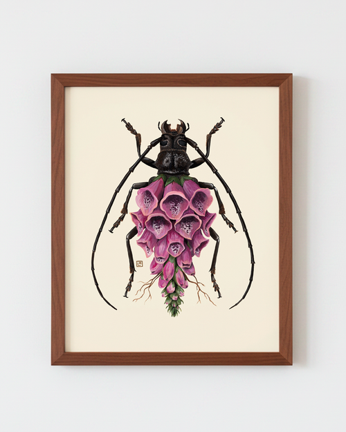 Foxglove-Longhorn Beetle (art print)