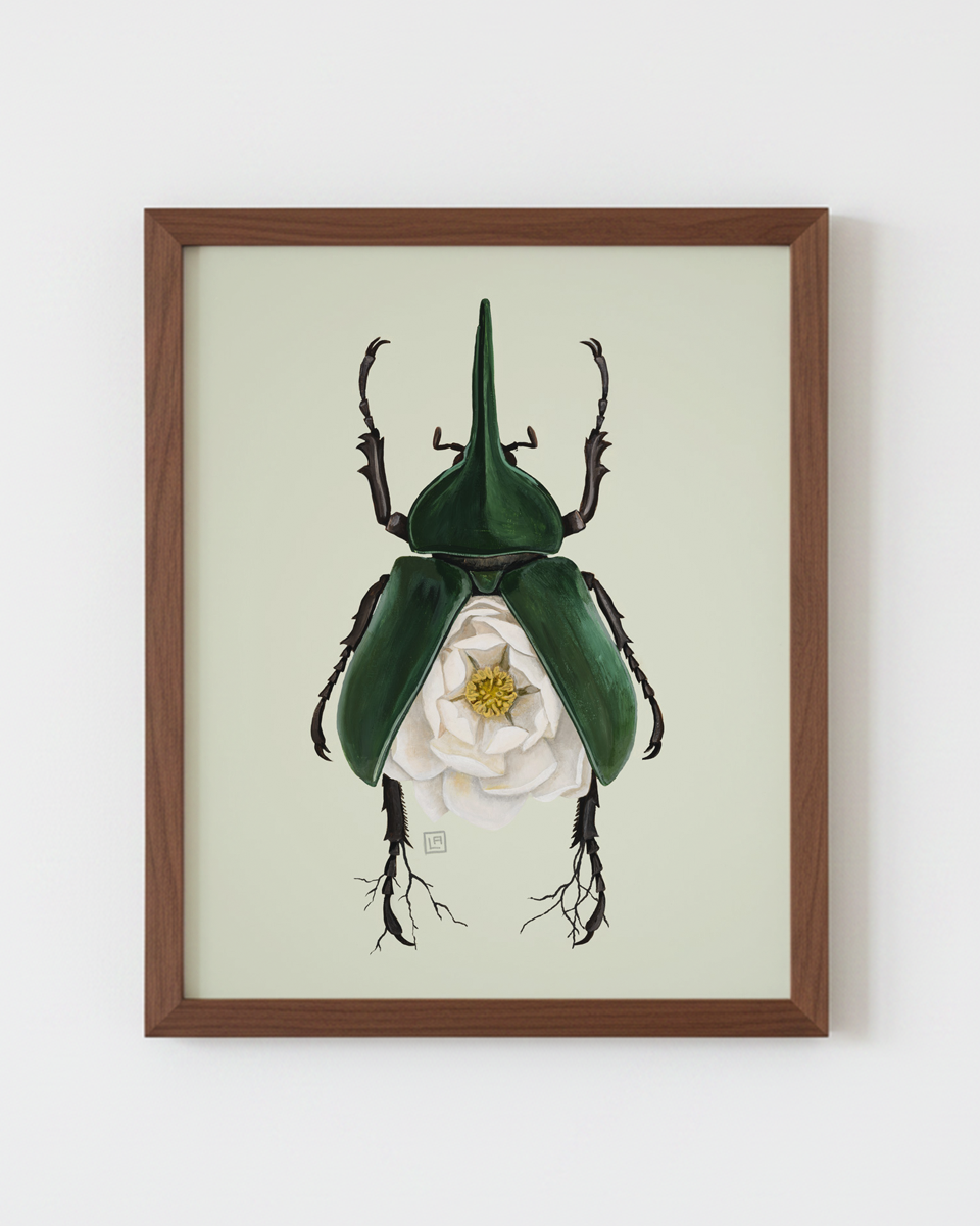Magnolia-Hercules Beetle (art print)