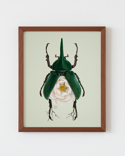Magnolia-Hercules Beetle (art print)