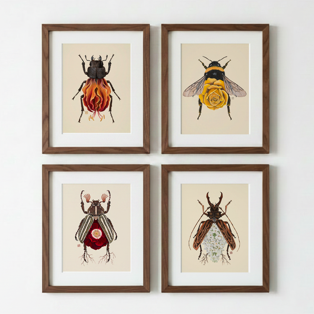 Red Rose + June Bug (art print)