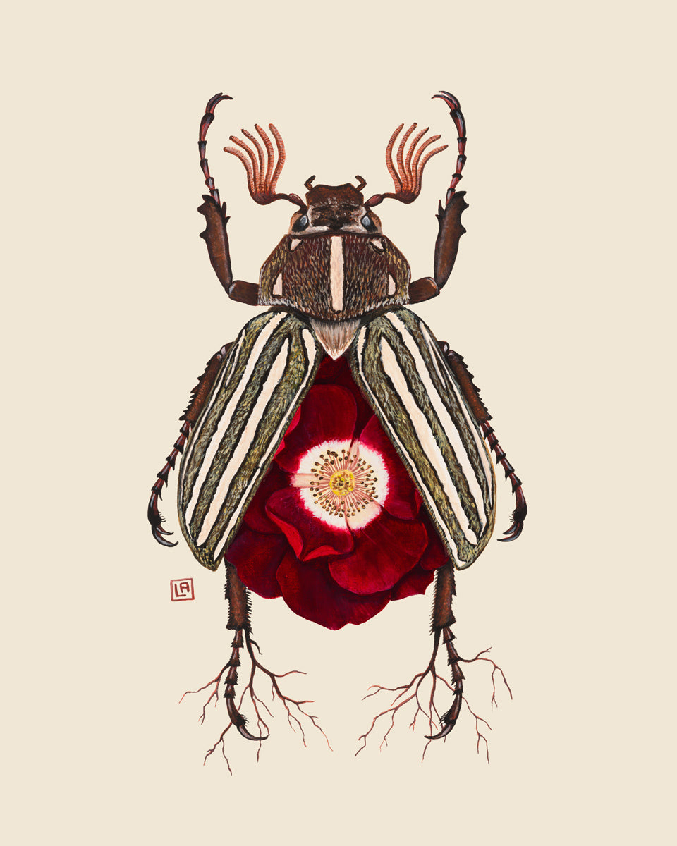 Red Rose + June Bug (art print)
