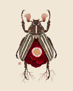 Red Rose + June Bug (art print)