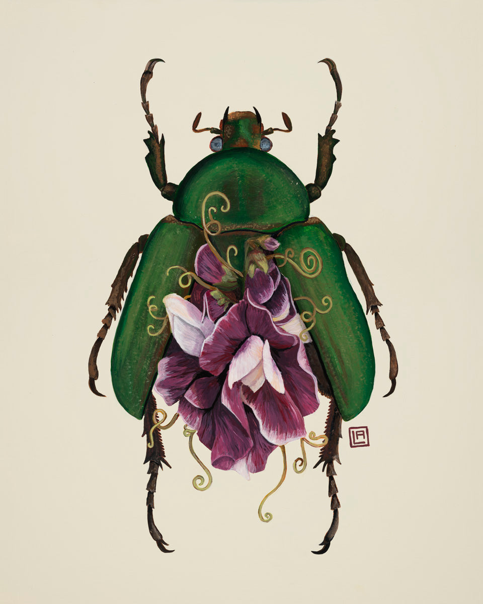 Sweet Pea Flower-June Bug (art print)
