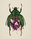 Sweet Pea Flower-June Bug (art print)