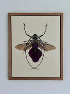 Purple Calla Lily + Longhorn Beetle (original painting)
