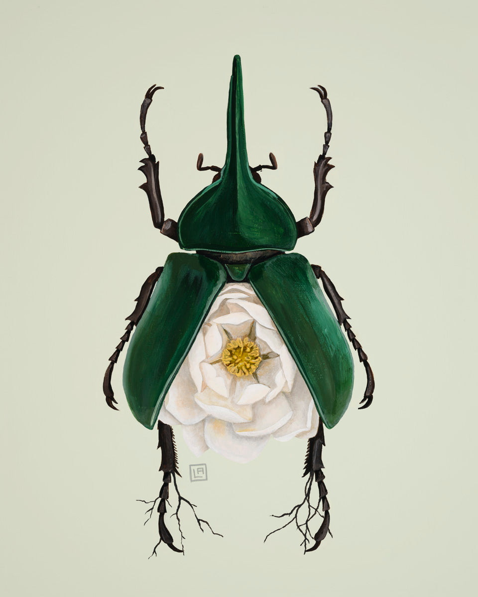 Magnolia-Hercules Beetle (art print)