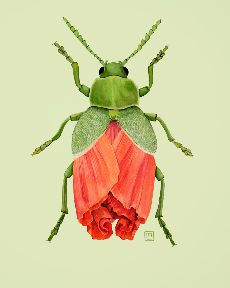 Poppy-Leaf Beetle (art print)