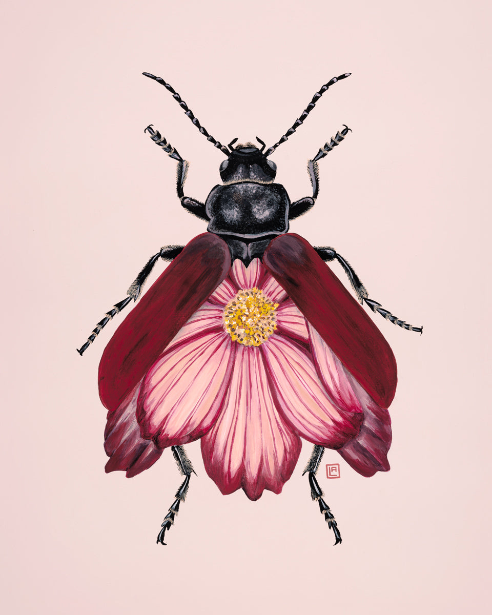 Pink Cosmos-Leaf Beetle (art print)