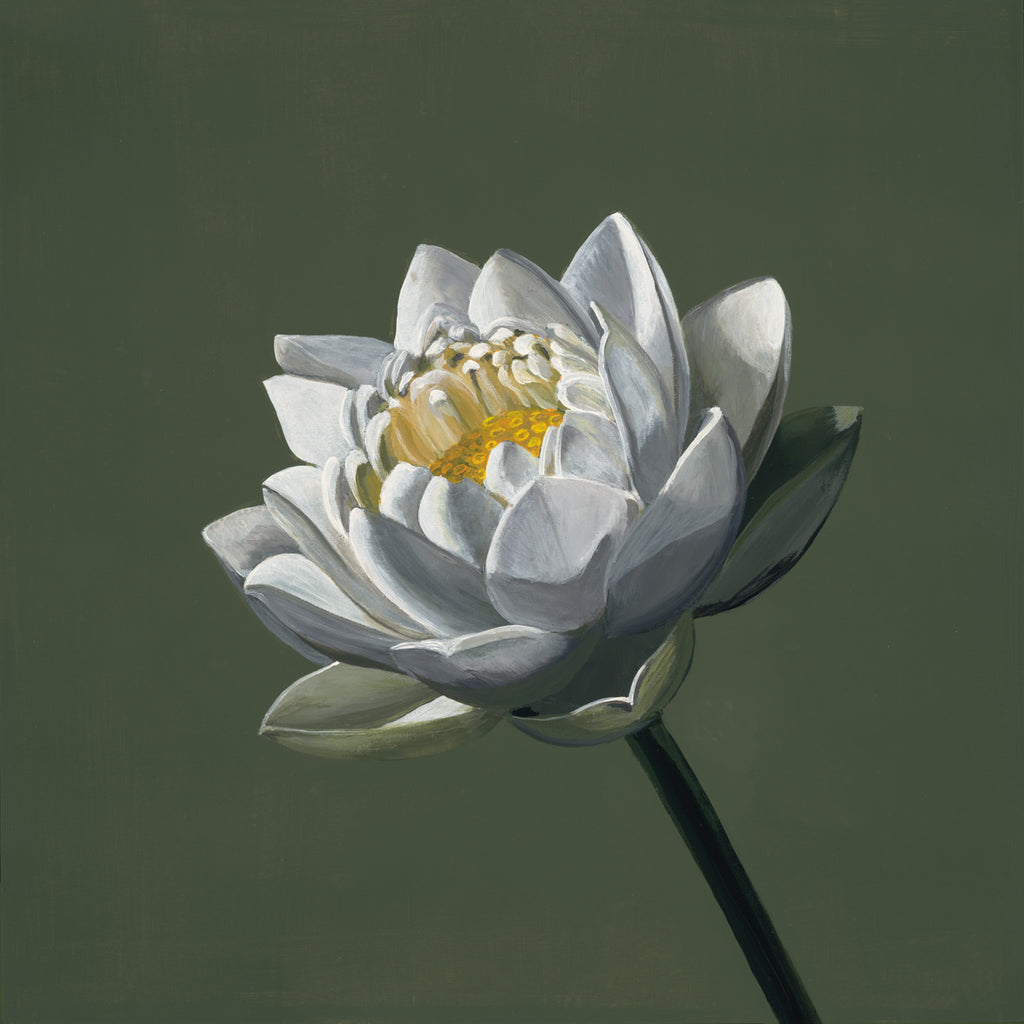 White Lotus on Green (art print)