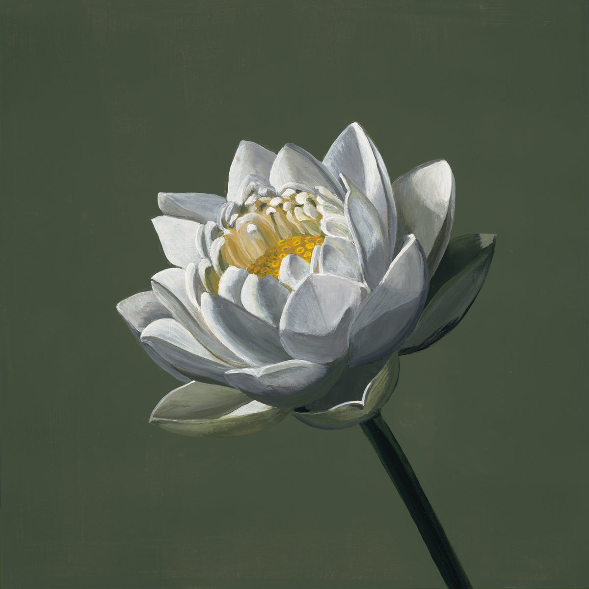 White Lotus on Green (art print)