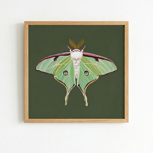 Luna Moth on Green (art print)