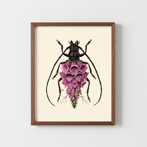 Foxglove-Longhorn Beetle (art print)