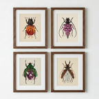 Purple Sweet Pea Flowers + June Bug (art print)