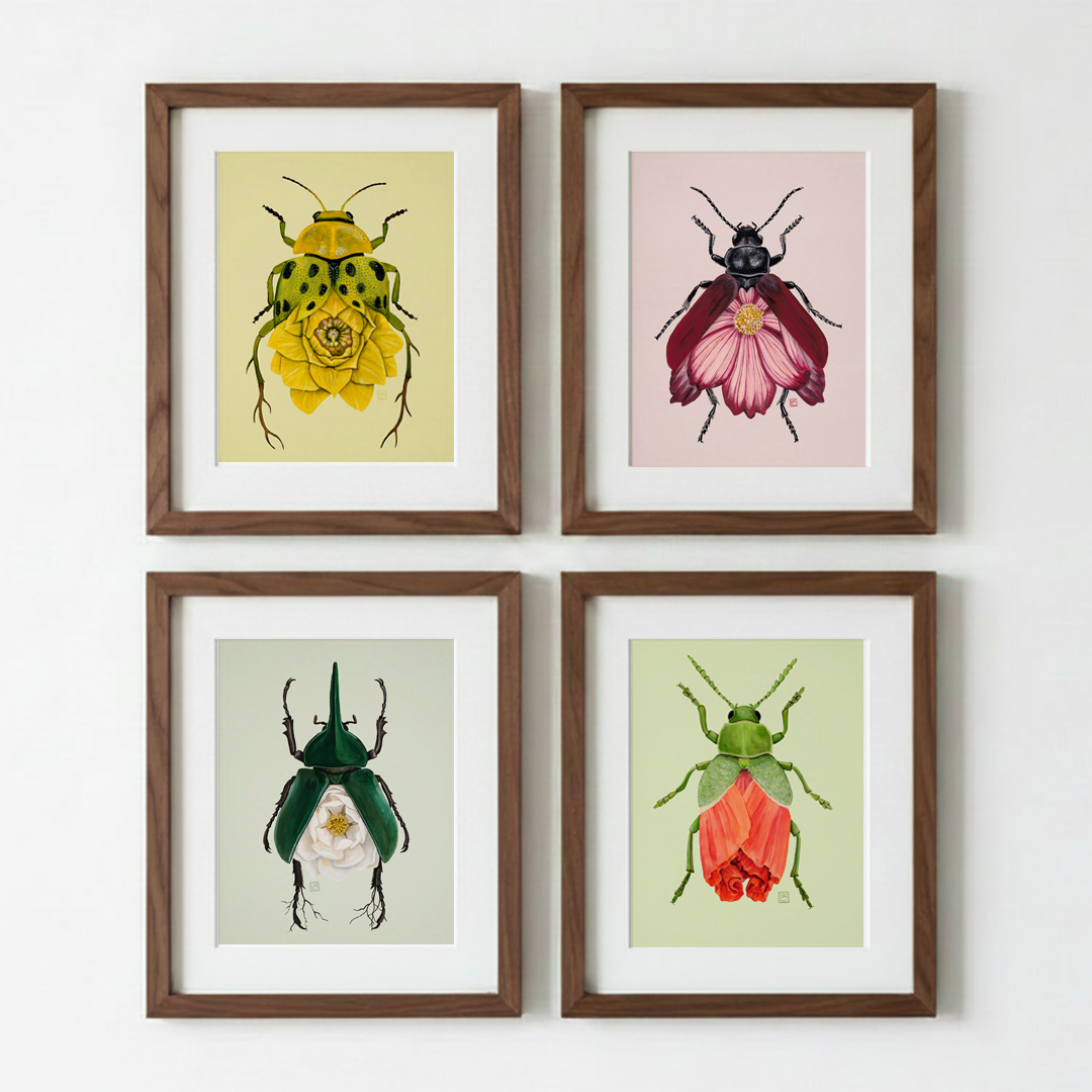 Poppy-Leaf Beetle (art print)
