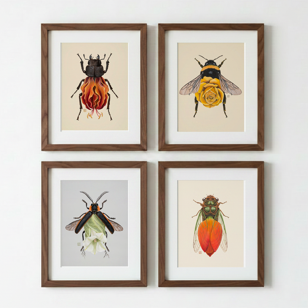 Orange Tulip Cicada (art print)