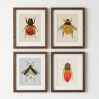 White Moonflower + Firefly (art print)