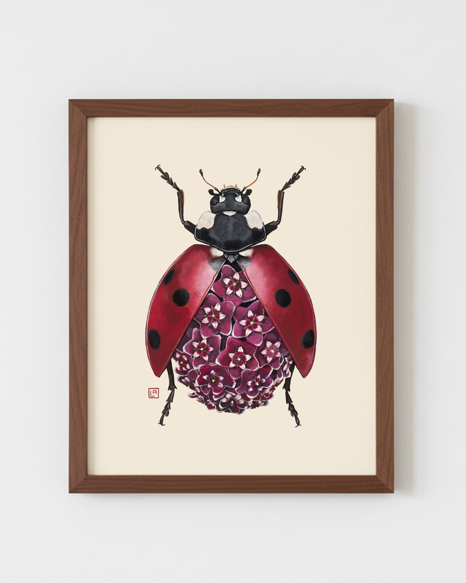 Hoya Ladybug (art print)