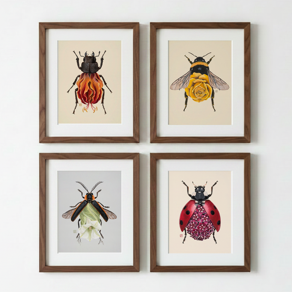 Hoya Ladybug (art print)
